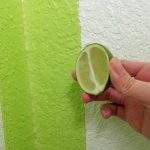 Half a lime showing the color match to paint