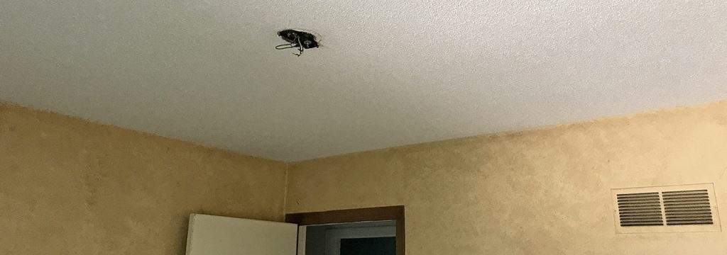 Preparing to remove popcorn and paint a ceiling