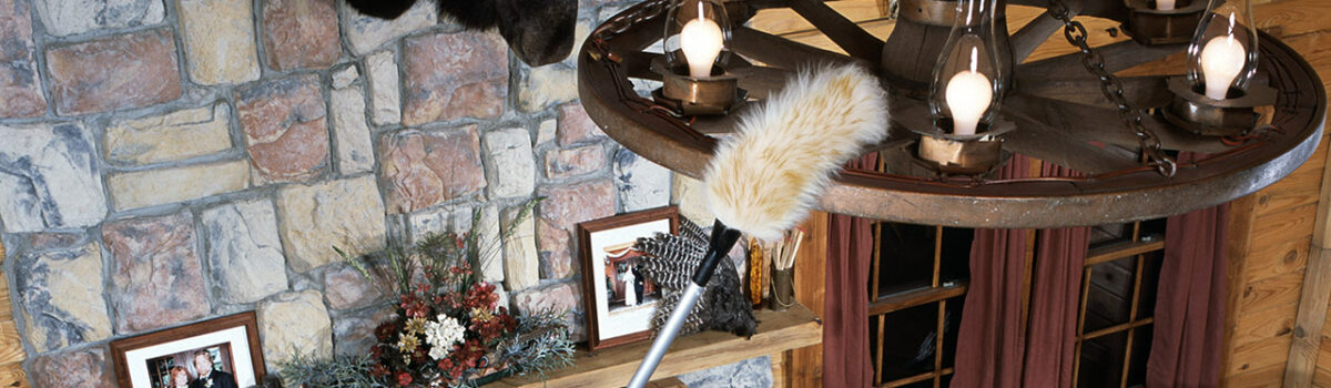ProPole paired with our lambs wool duster makes the best extendable duster