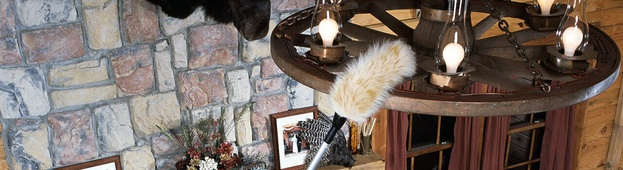 ProPole paired with our lambs wool duster makes the best extendable duster