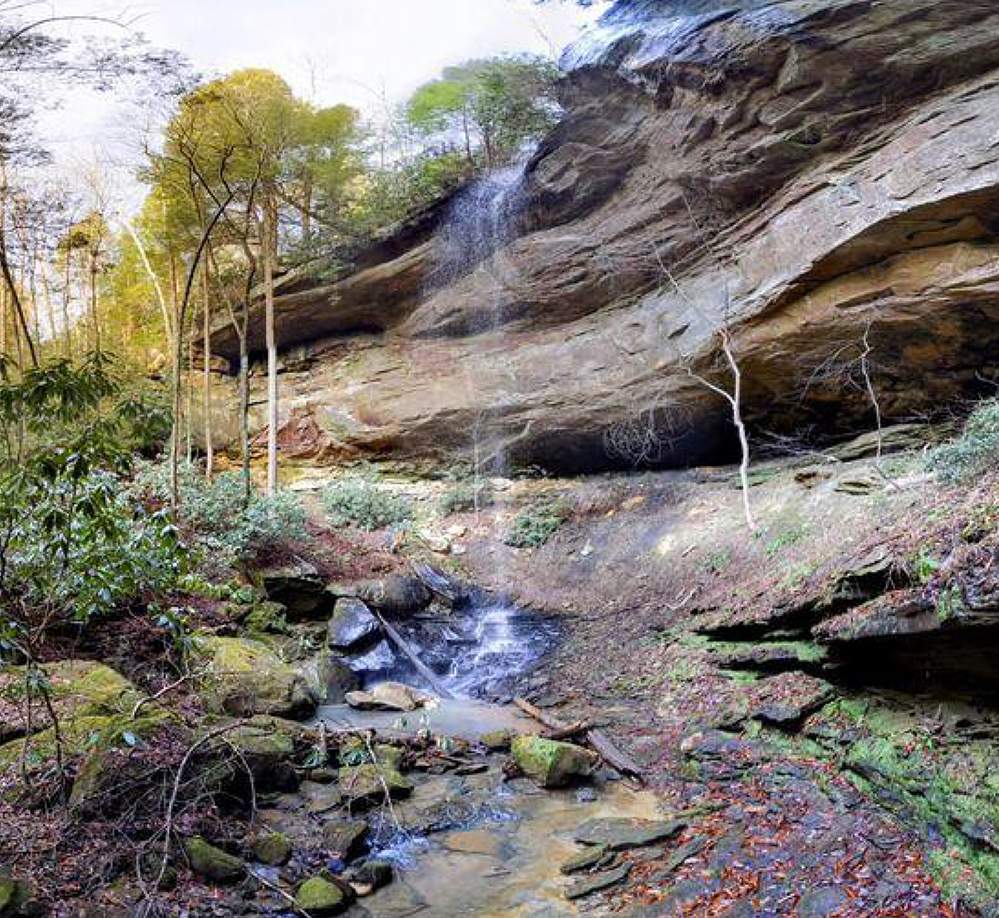 Rocks, vegetation and a waterfall in Muir Valley Preserve.