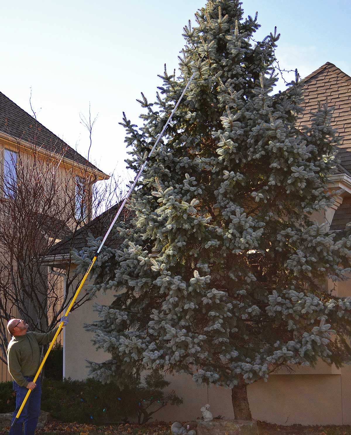 Hanging lights on an outdoor tree using the Holiday Light Hook.